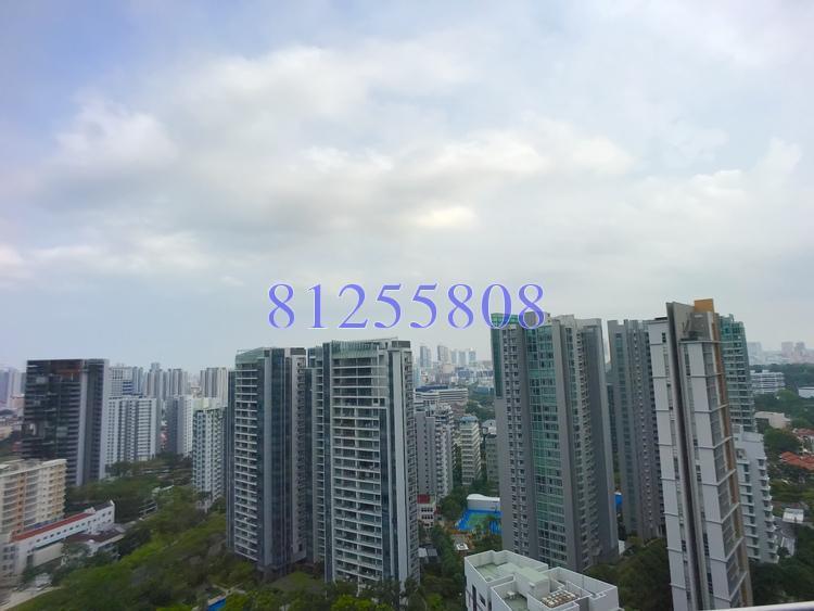 Lincoln Suites (D11), Condominium #169230202